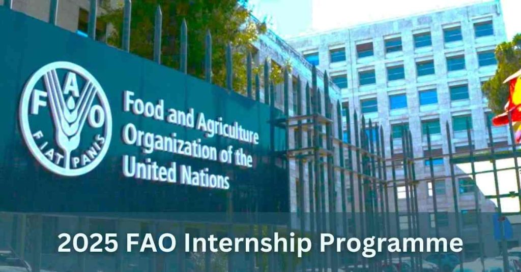 FAO Internship Programme 2025